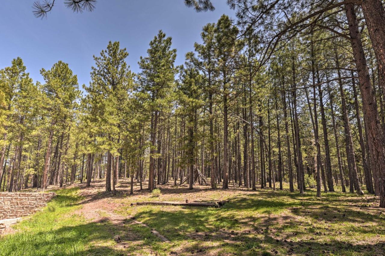 Angel Fire All-Season Escape Walk To Ski And Trails ภายนอก รูปภาพ
